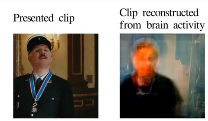 Estudio Videoclip Imágenes Cerebrales