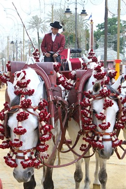 Feria Del Caballo De Jerez De La Frontera