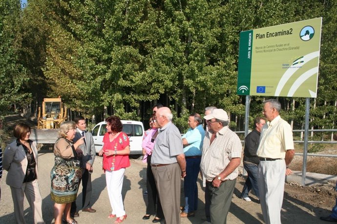 La Consejera En Chauchina