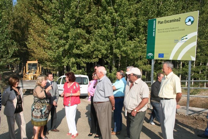 La Consejera En Chauchina