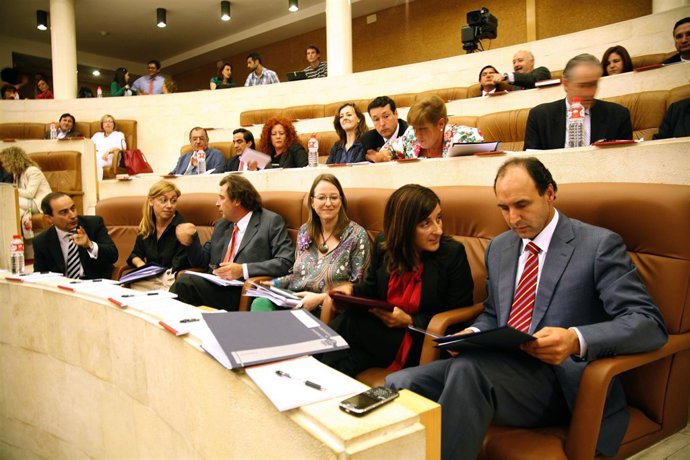Pleno Del Parlamento