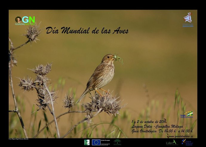 Cartel Del Día Mundial De Las Aves En La Comarca De Guadalteba