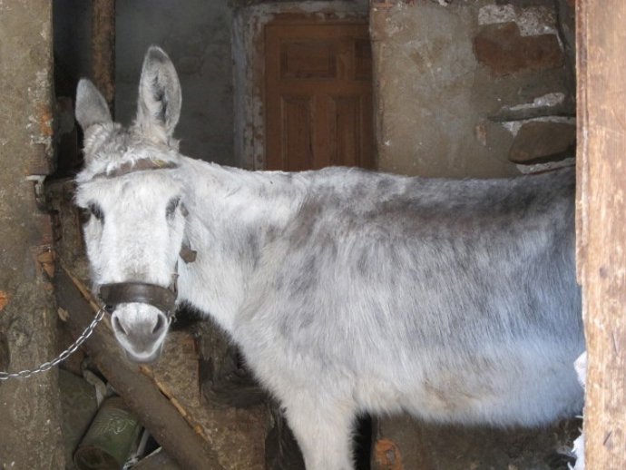 La Feria Se Inicia El Día 30