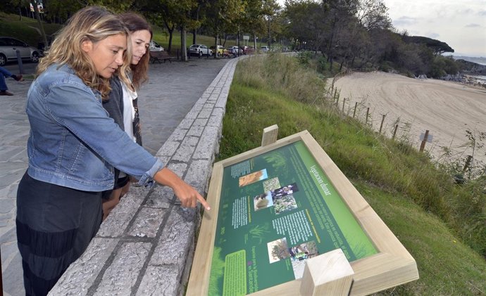 Fin De La Restauración Ambiental En La Magdalena