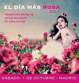 Día Más Rosa- Asocación Cáncer De Mama De Madrid