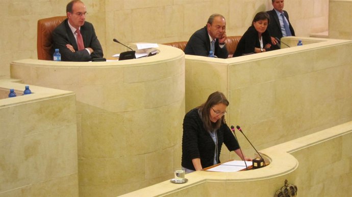 Leticia Díaz, Consejera De Presidencia, En El Parlamento