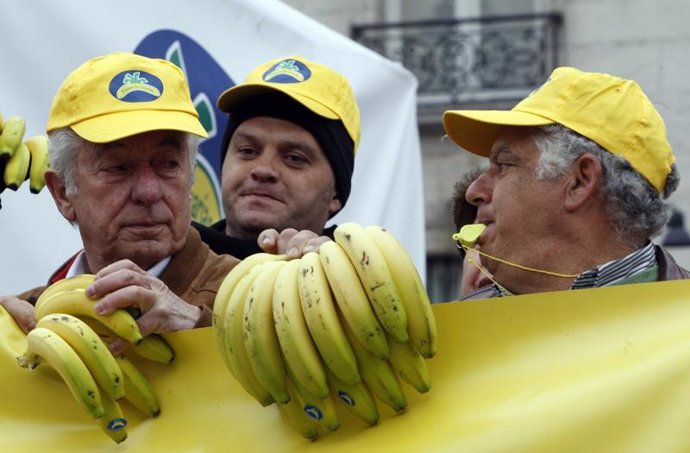 Productores De Plátano Canario Reparten 20.000 Kilos En Madrid 