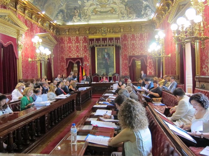 Pleno Del Ayuntamiento De Madrid
