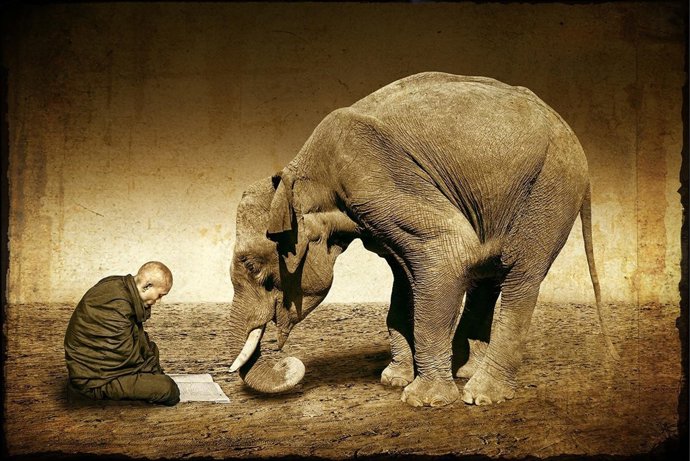 La Foto Ganadora Del Concurso