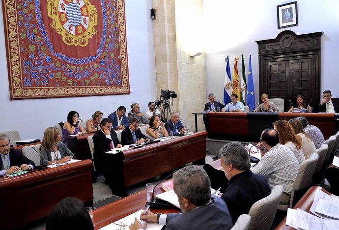 Pleno Ordinario Del Ayuntamiento De Jerez