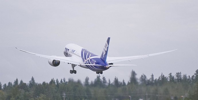 El 787 'Dreamliner' De All Nippon Airways (ANA)