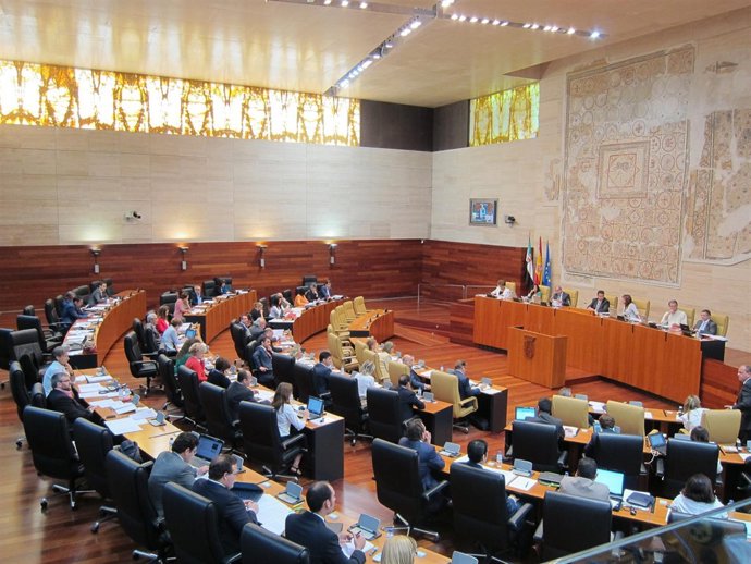 Pleno En El Parlamento