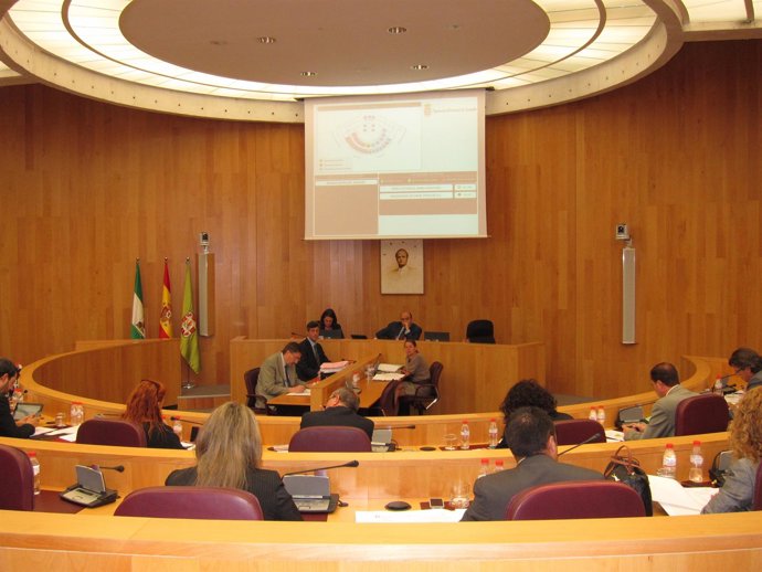 Pleno De La Diputación De Granada