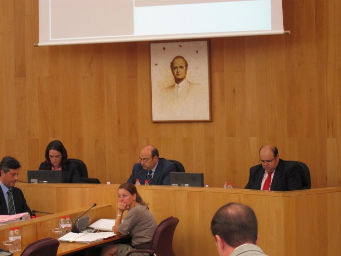 Pleno De La Diputación De Granada