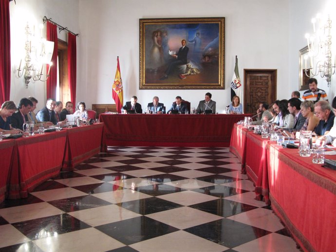 Pleno De La Diputación De Cáceres