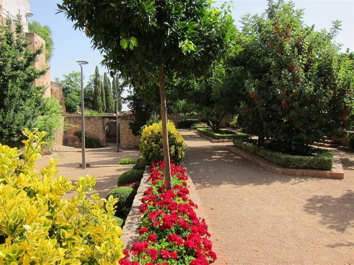 Parque, Jardín, Primavera, Alergia