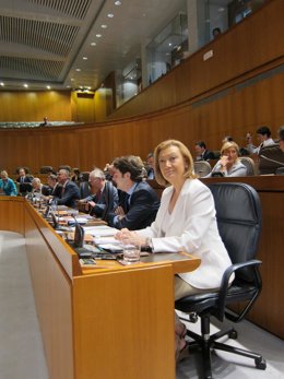 Rudi Responde A Una Pregunta De IU