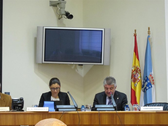 Carlos Fernández, Presidente De La Fegamp, En Comisión Parlamentaria