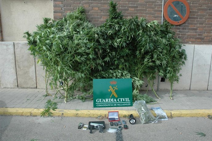 Efectos Incautados Por La Guardia Civil A Un Joven De 21 Años