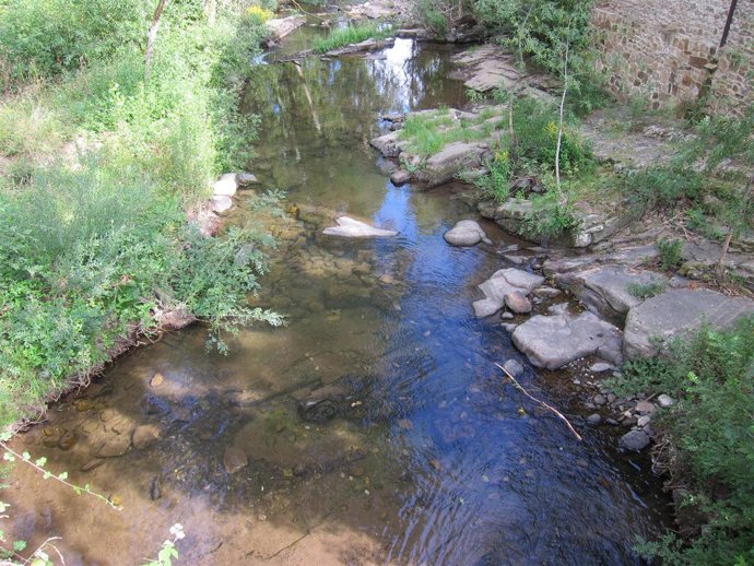 Río, Pesca