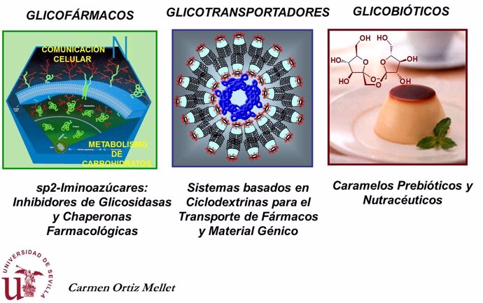 Gráficos Sobre Los Iminoazúcares