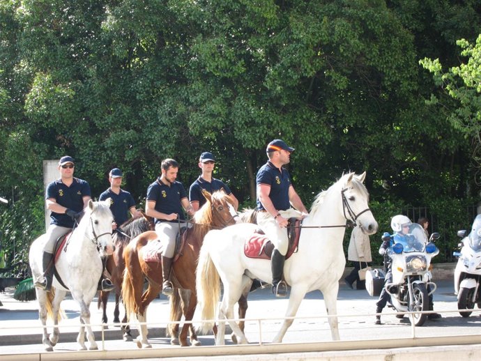 Policía A Caballo En Valladolid