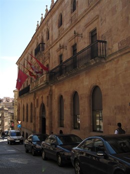 Palacio De La Salina, Sede De La Diputación De Salamanca