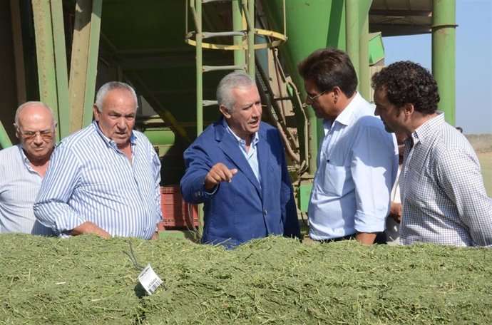 Javier Arenas, Visita Hoy Una Cooperativa Agraria