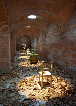 Parte De La Exposición 'El Lenguaje De Los Árboles En Español'