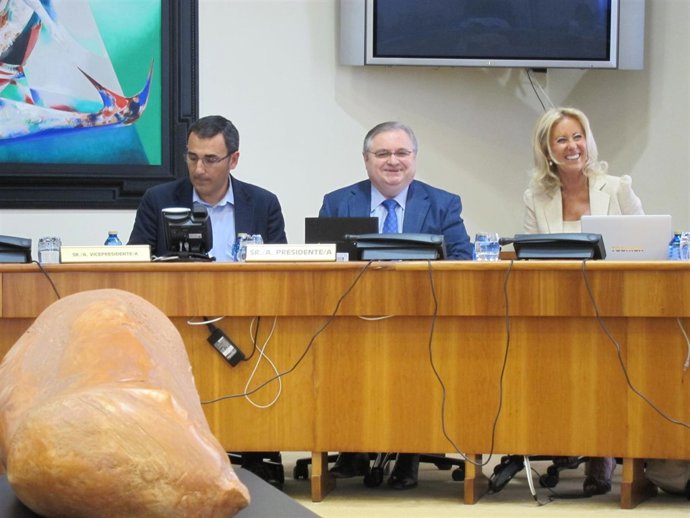 Corina Porro, Presidenta Del Consello Económico E Social, En El Parlamento