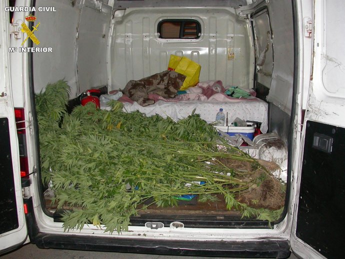 Marihuana Incautada A Dos Personas.