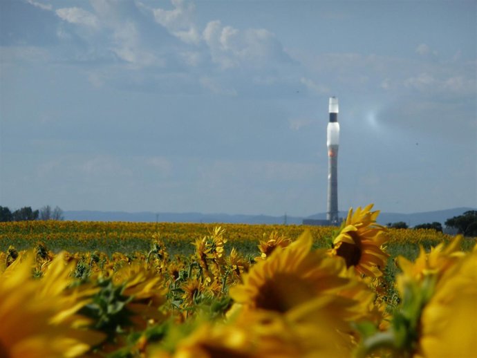 Vista De La Torre De La Planta Gemasolar.