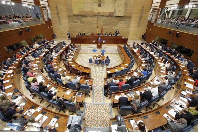 Pleno De La Asamblea De Madrid