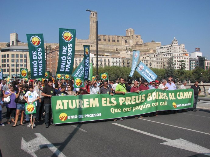 Centenares De Campesinos Protestan En Lleida