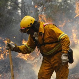 incendios del sureste de Australia