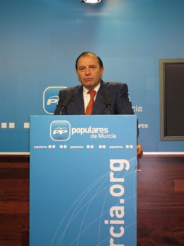El Diputado Nacional Del Partido Popular Por Murcia, Vicente Martínez-Pujalte