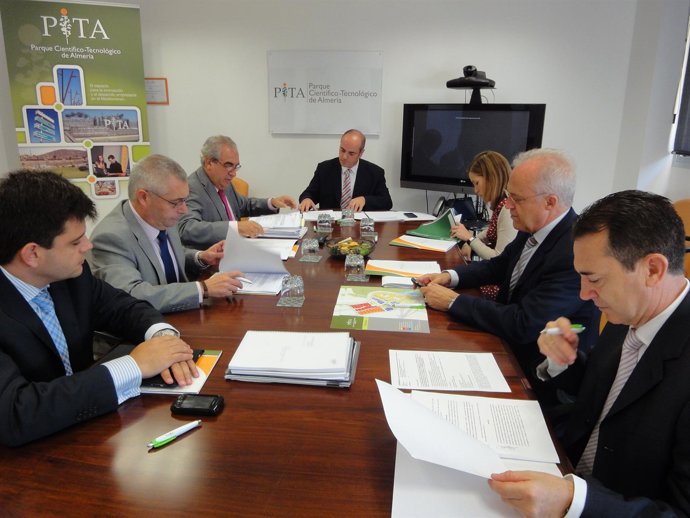 Comisión Ejecutiva Del Consejo De Administración Del PITA 