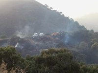 El fuego ha arrasado 42.964 hectáreas en lo que va de año 