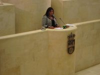 PRC acusa al PP de "plegarse" a Vizcaya y al PNV en el carril reversible de la A-8 porque les "necesita" el 20-N