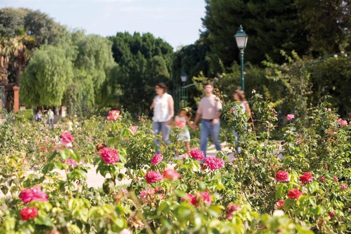 Jardines De Viveros En Valencia