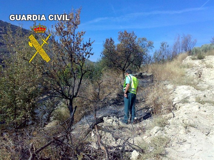 Un Guardia Civil Observa La Superficie Quemada En El Paraje De San Marcos.