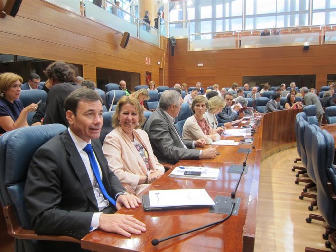 Bancada Socialista En La Asamblea De Madrid