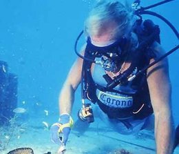 Foto Recurso De Submarinismo