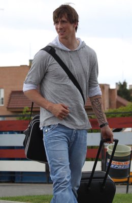 Fernando Torres 