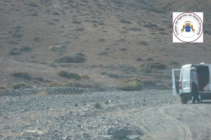 Lugar Donde Se Detuvo Al Cazador Furtivo