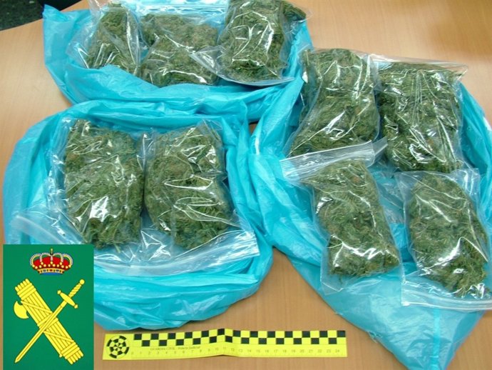 Las Sustancias Incautadas 