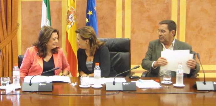 Mar Moreno, Comparece Hoy En La Comisión De Presidencia