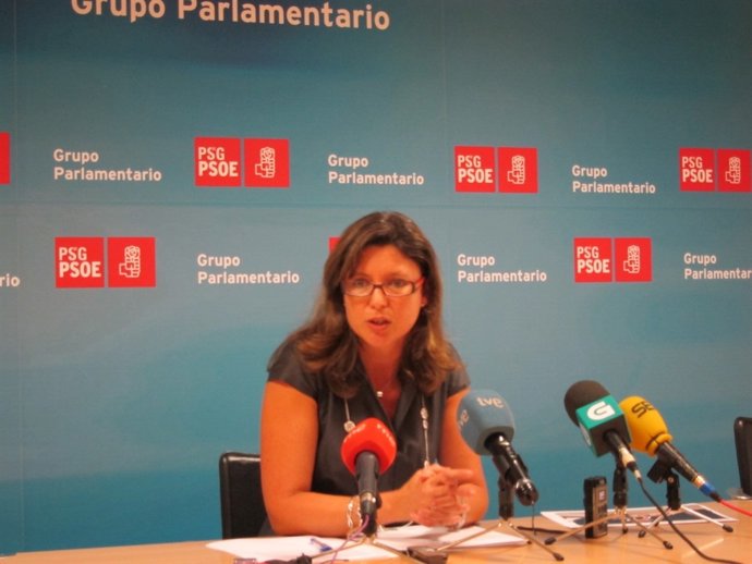 María José Caride, Diputada Del Psdeg