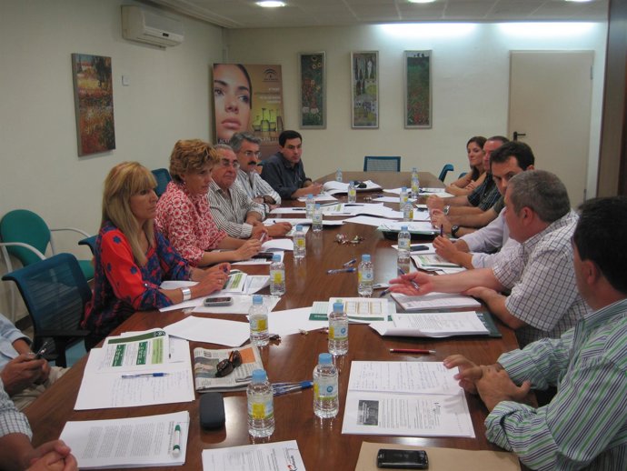Reunión De Trabajo Del Seguro Del Olivar.