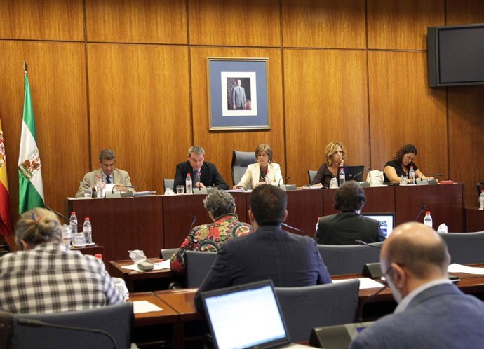 Comisión De Educación En El Parlamento De Andalucía